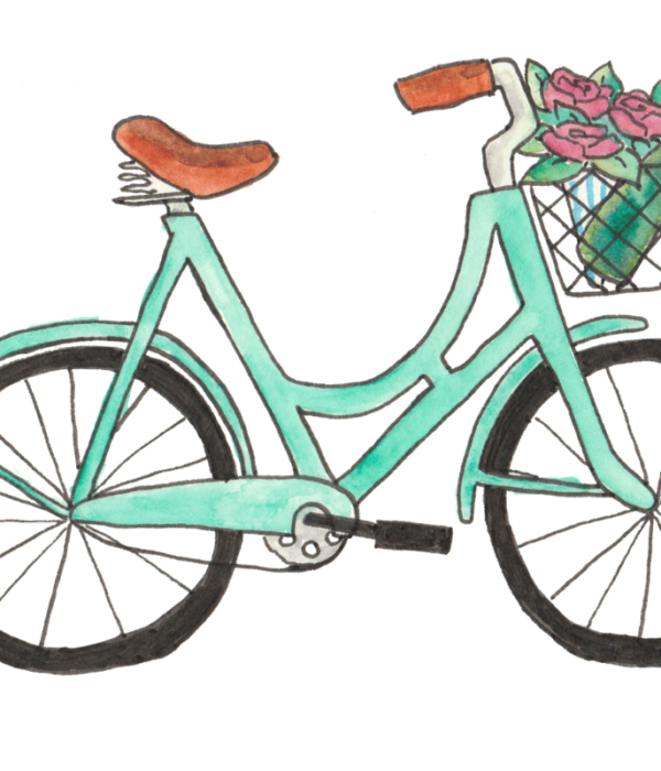 bicycle illustration basket flowers