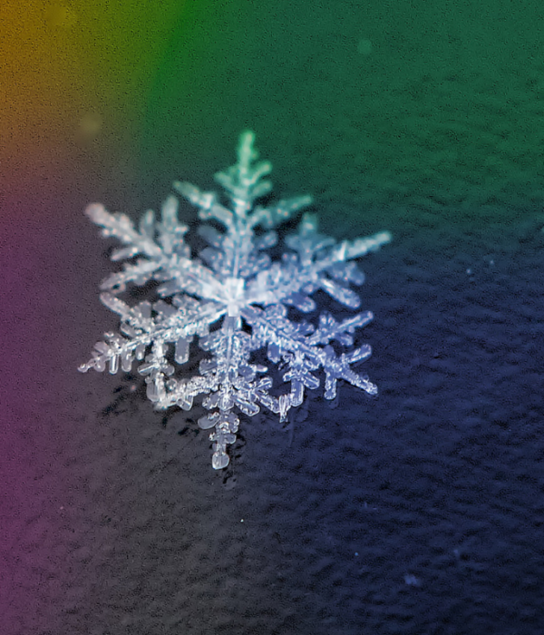 Single snowflake photograph macro lense