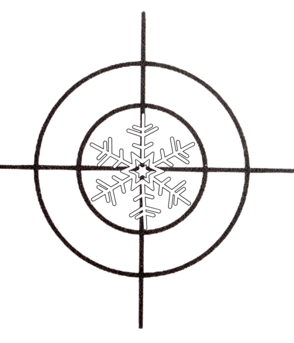 target snowflake