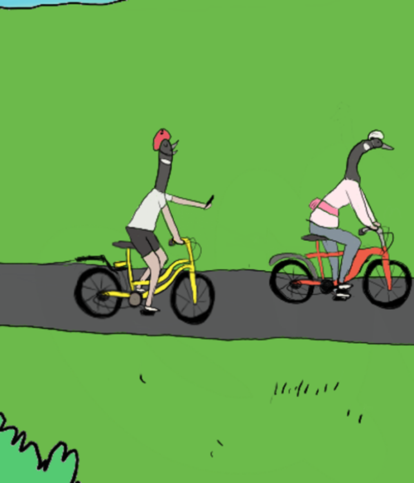 caricature geese riding bokes